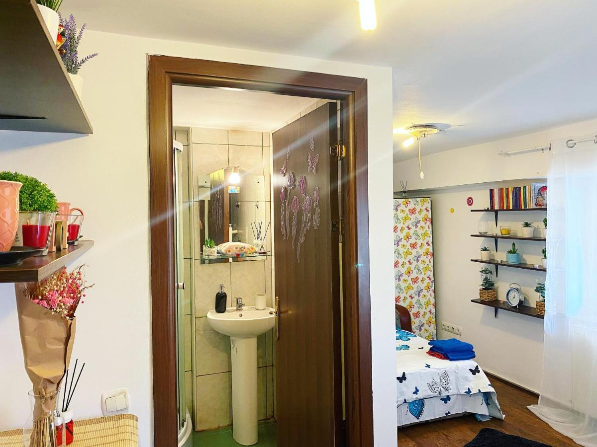 Casa Andu Apartment Bucharest Luaran gambar
